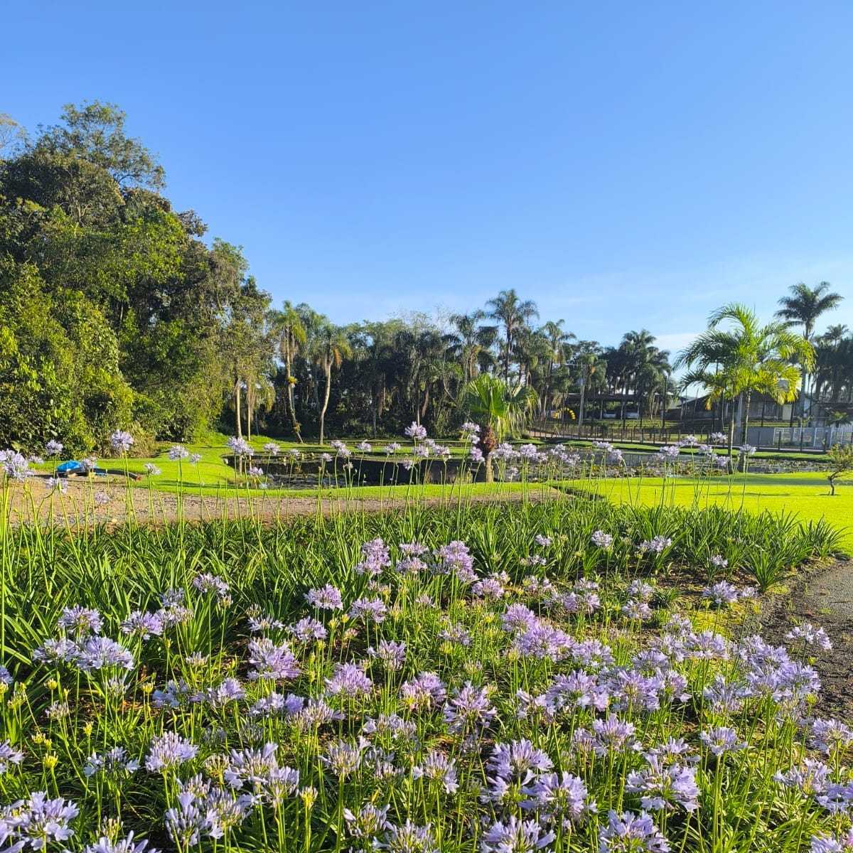 Gramas para Jardim